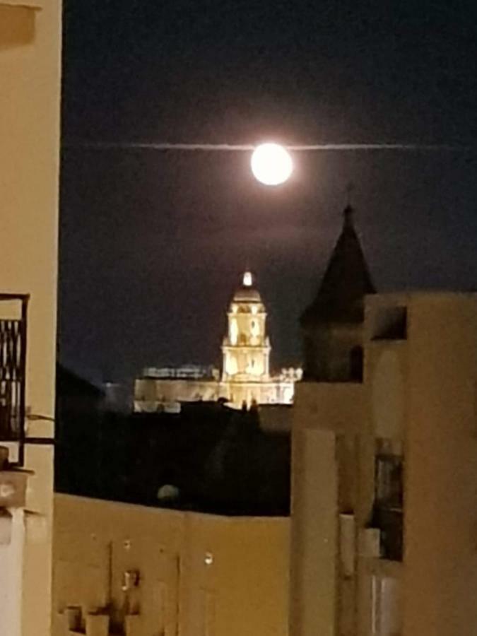 Apartamento Con Vistas A La Catedral A 15 Minutos Del Centro マラガ エクステリア 写真